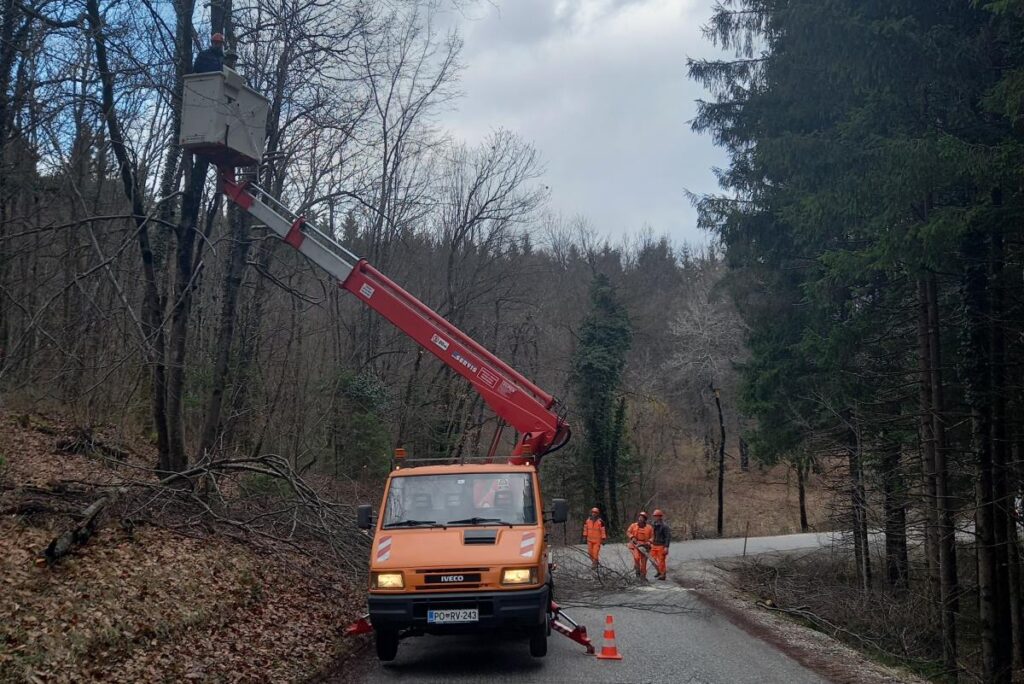 izvajanje-obrezovanja-drevja-in-vejevja-ob-obcinskih-cestah