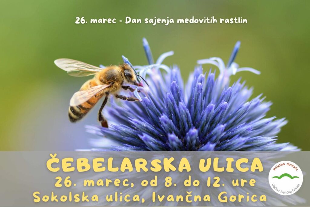 vabljeni-na-cebelarsko-ulico-v-ivancno-gorico