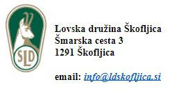 pojavnost-rjavega-medveda