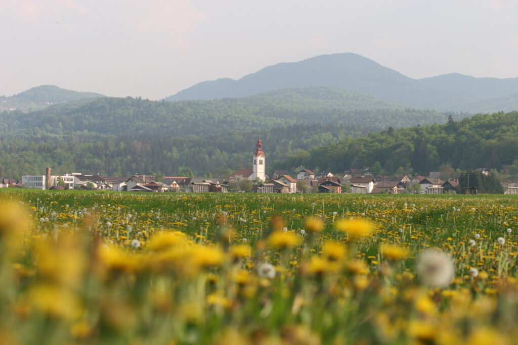 javno-naznanilo