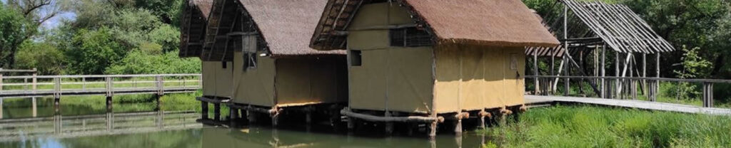 ugotovitvena-odlocba