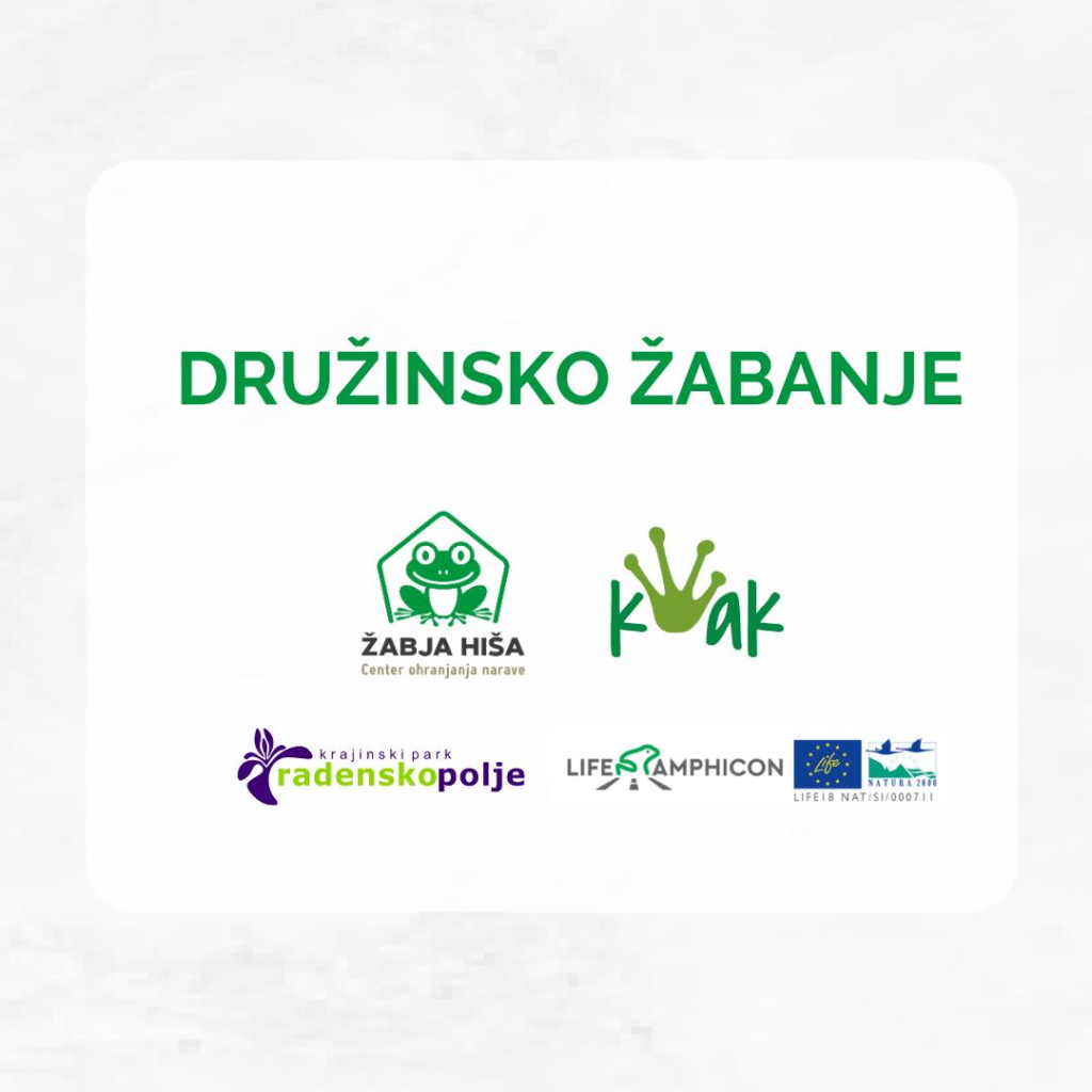 druzinsko-zabanje-v-zabji-hisi