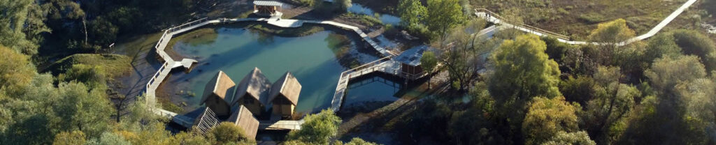 javni-razpis-kultura