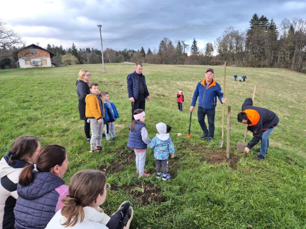 obcina-grosuplje-bogatejsa-za-40-lip-–-skrb-za-cebele-in-zeleno-prihodnost