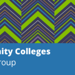 introduction-to-new-swe-community-colleges-affinity-group-chair-—-nabimie-ducas